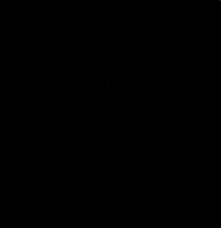 1000007