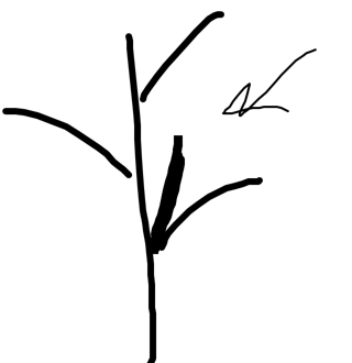 1000005