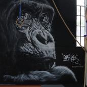 APE INDEX