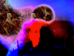Exhibitions, events & curation