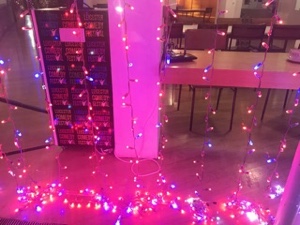 Lots of Lights aka "LOL"