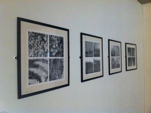 Reflections on Growth and Form / Sean Clark