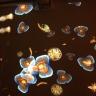 Genetic Moo