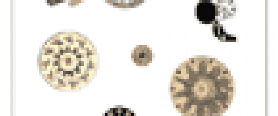 Archive | Persistence of Vision