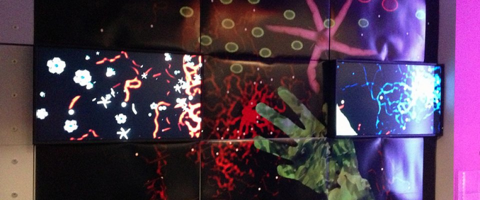 Symbiotic Opening at Phoenix