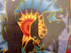 Cyberculture Archive