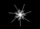7 x Symmetry
