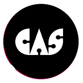 Computer Arts Society