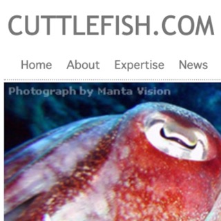 Cuttlefish 2005