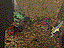 Evolva 2