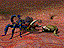 Evolva 7