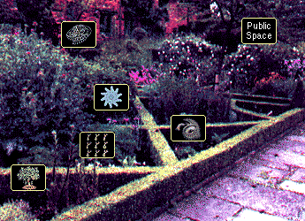 The Virtual Garden