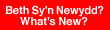 Beth Sy'n Newyyd? - What's New?