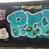 Bring The Paint 2019