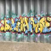 Bring The Paint 2019