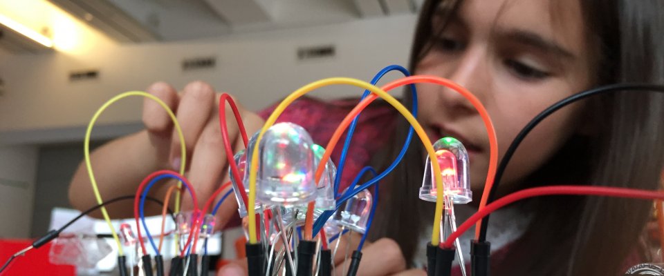 Microworld: Experiments in Digital Art and Digital Making