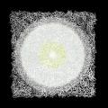 A Cybernetic Ecology