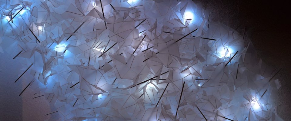 'Flown' on the Lumen Prize Longlist
