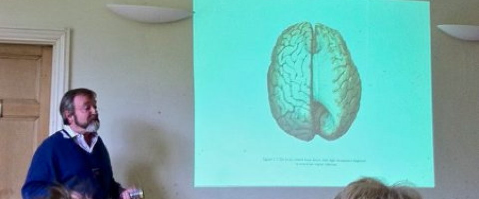 The Divided Brain at Schumacher College