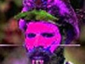Zion Train Live Multimedia 2000 - 2003