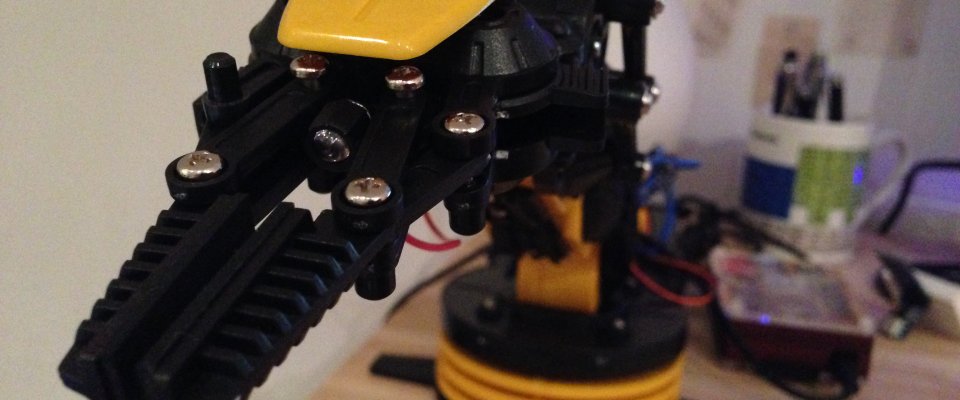 Raspberry Pi Robotic Arm Controller