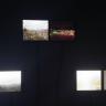 Layla Curtis / Antipodes