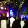 Shine - Oundle