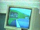 Perception & Action in Virtual Realities