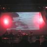 The Buoys Live Multimedia 2005